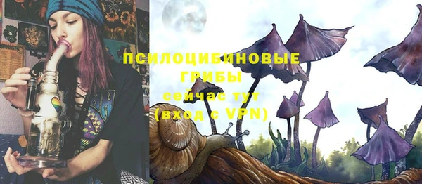 каннабис Богородицк