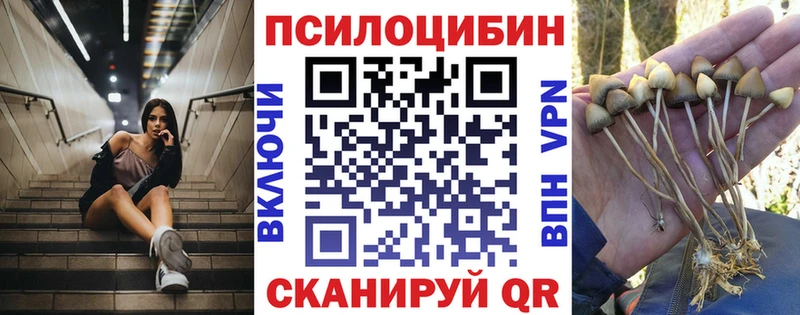 Галлюциногенные грибы MAGIC MUSHROOMS  Купить где  Жердевка 